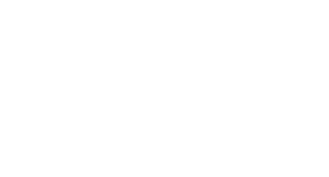 Speed Mentorship Logo